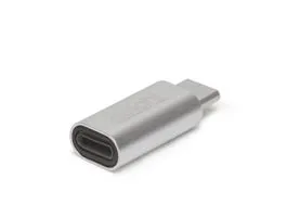 Delight USB Type-C - iPhone Lightning adapter Silver