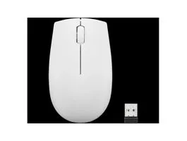 LENOVO 300 Wireless Compact Mouse (Cloud Grey)